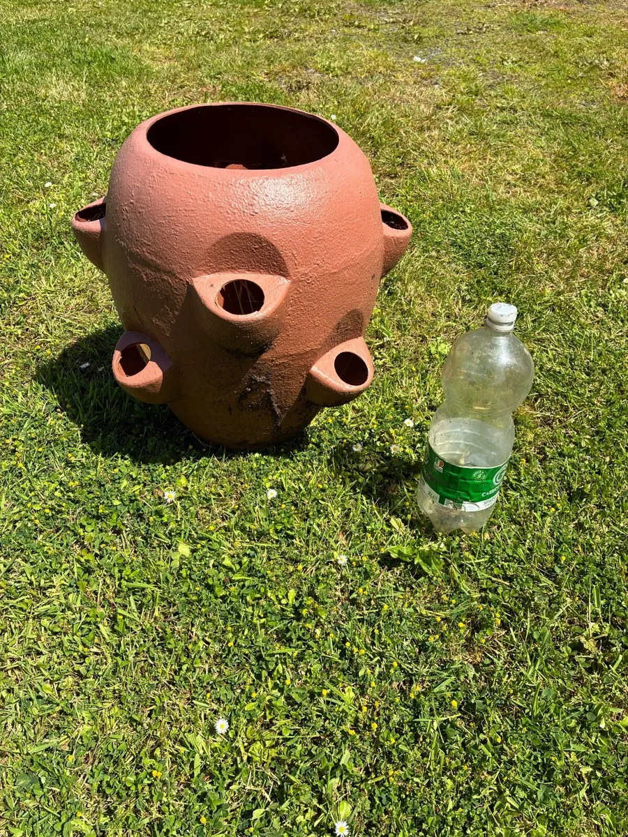 Strawberry planter pot - Image 1