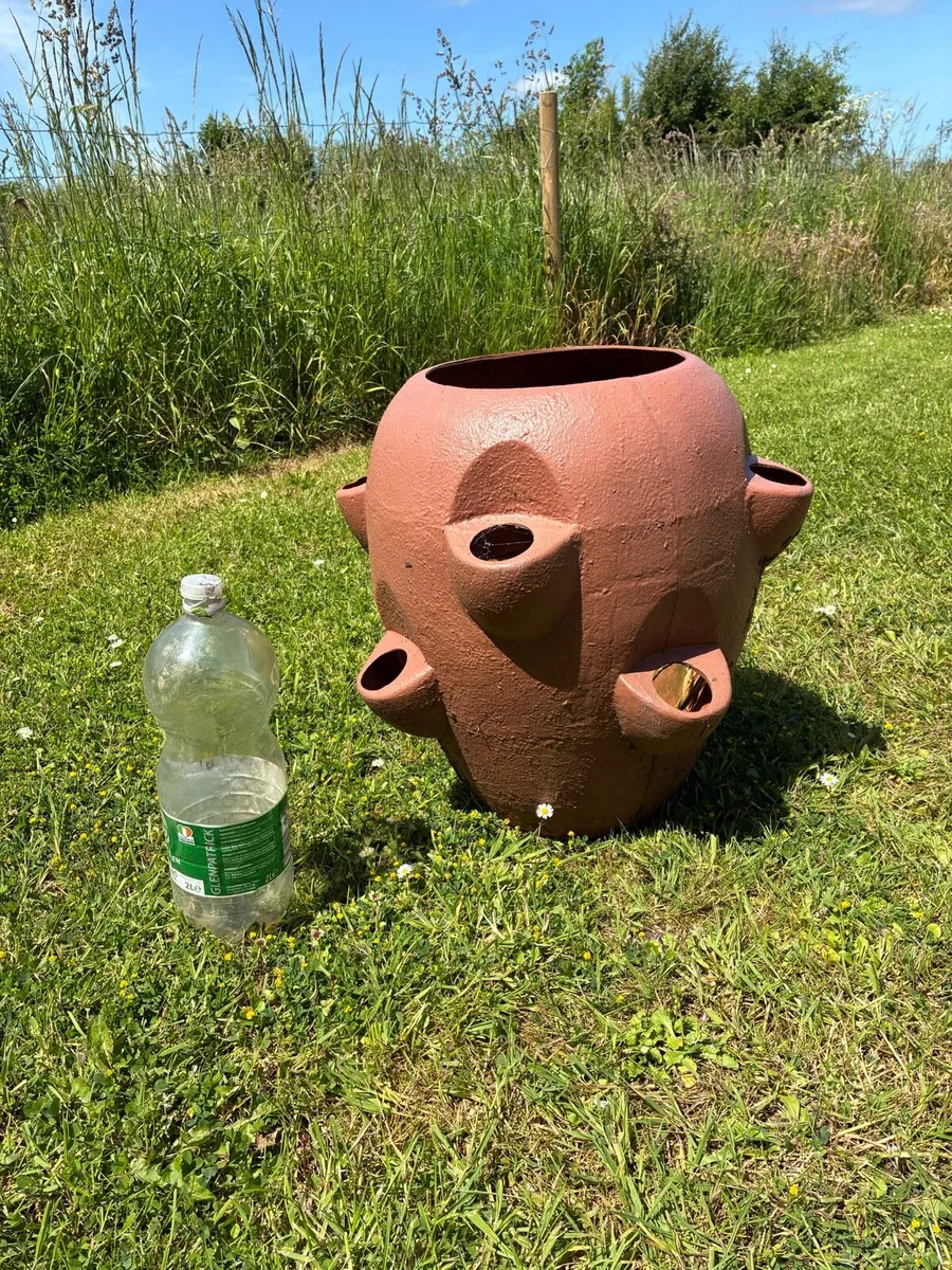 Strawberry planter pot - Image 2