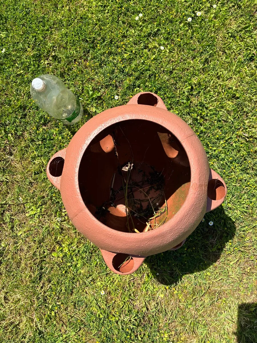 Strawberry planter pot - Image 3