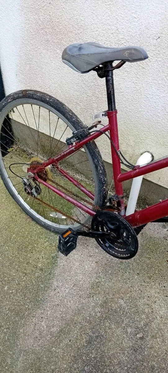 Women hybrid bike - Image 3