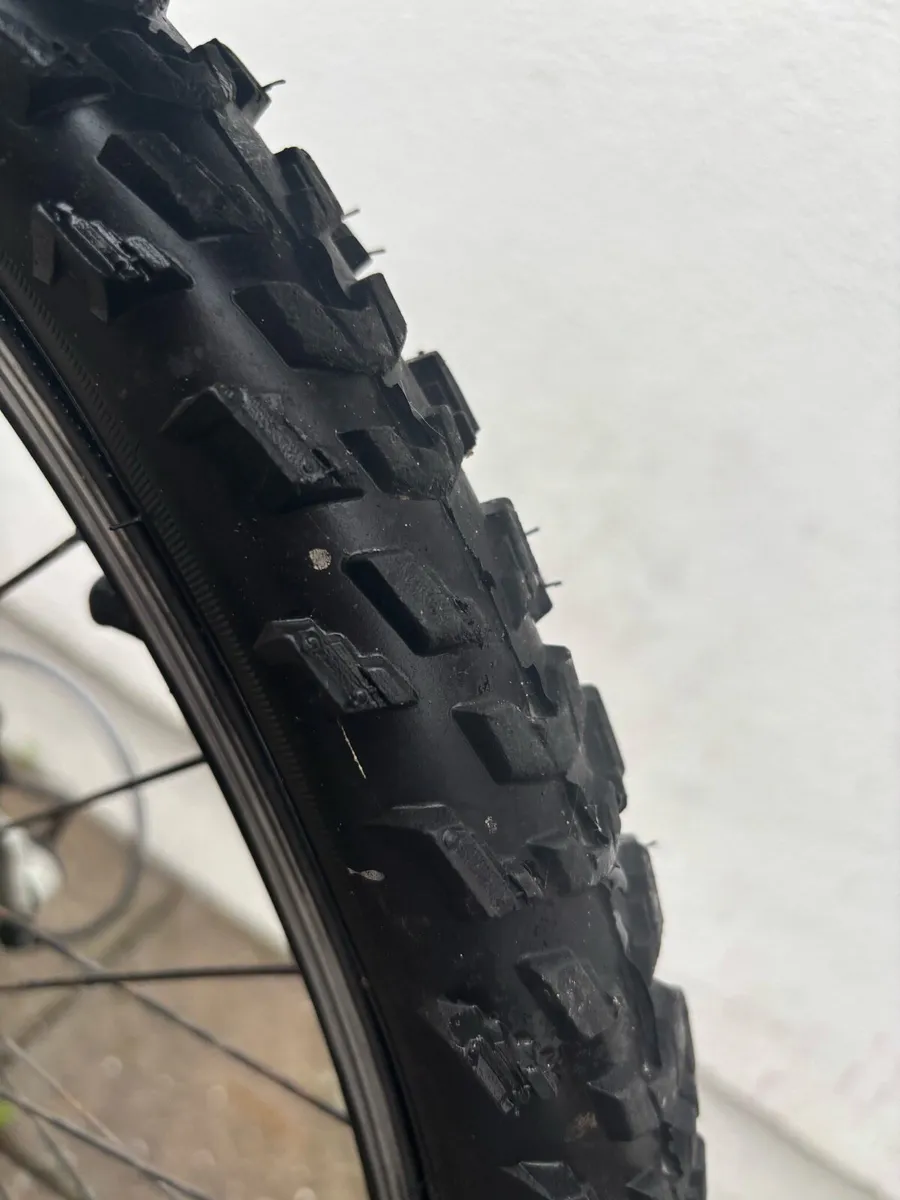 Bike - Image 4