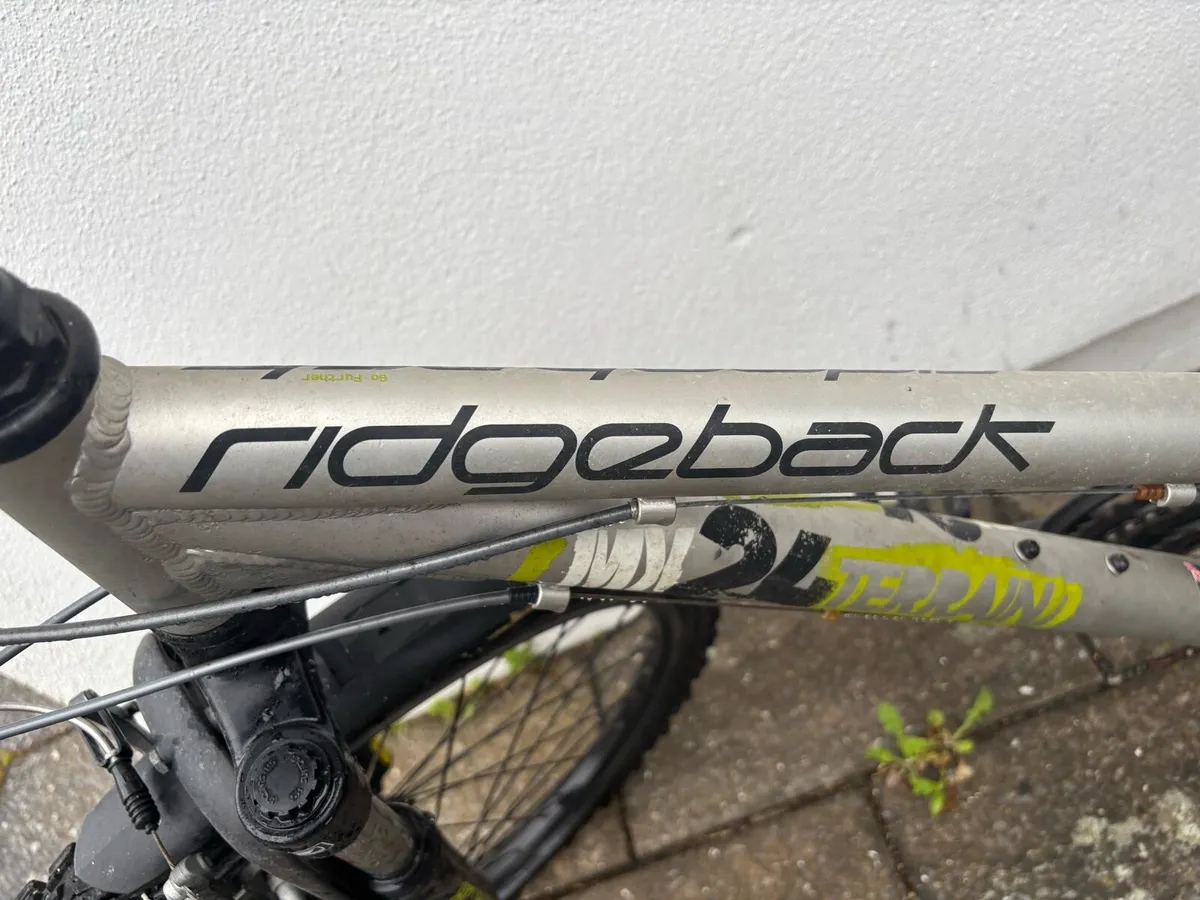 Bike - Image 2