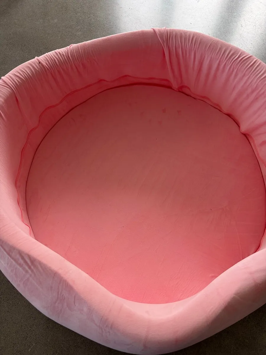 Ball Pit - Image 3