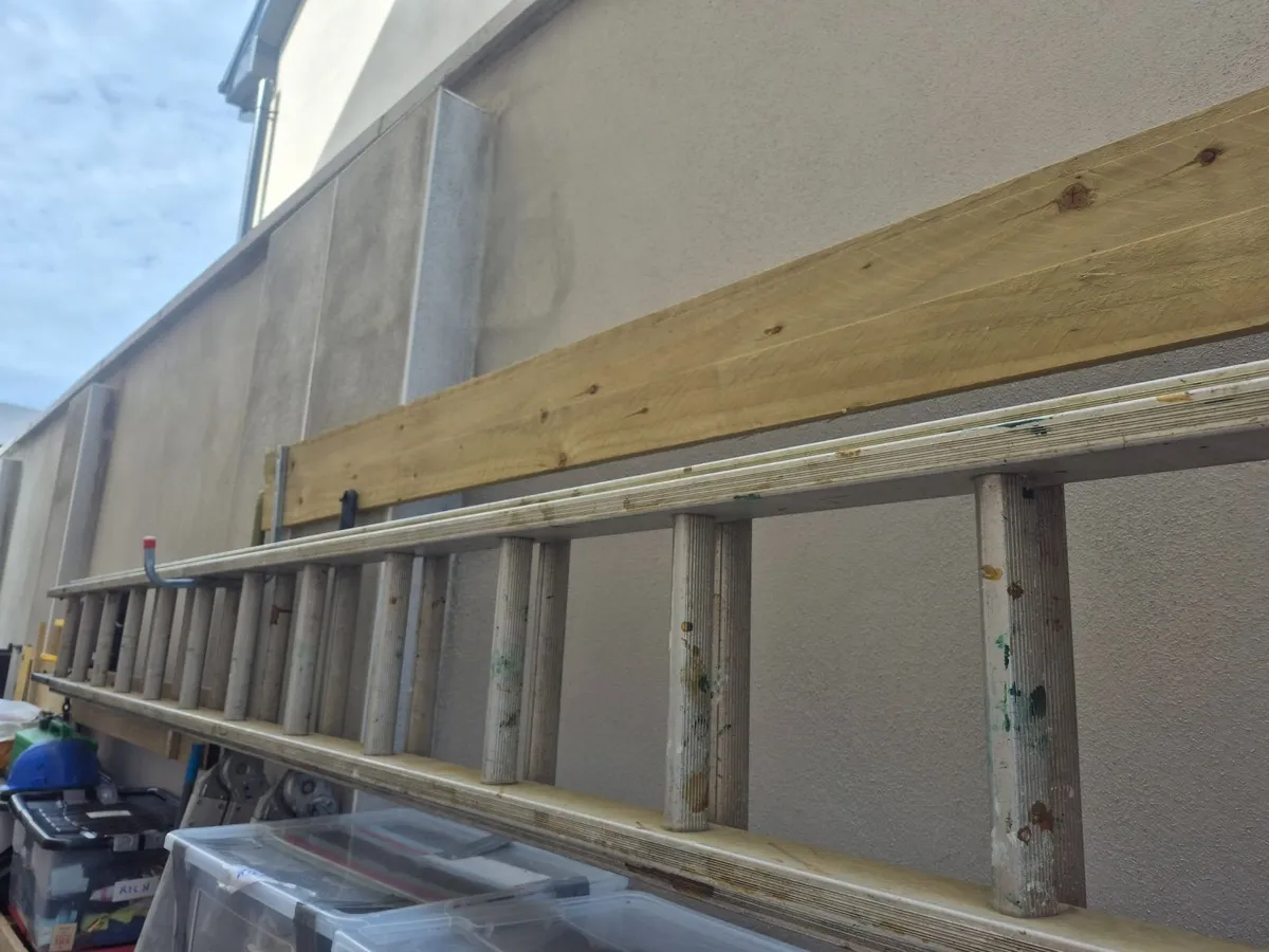 Ladder (2 Section)