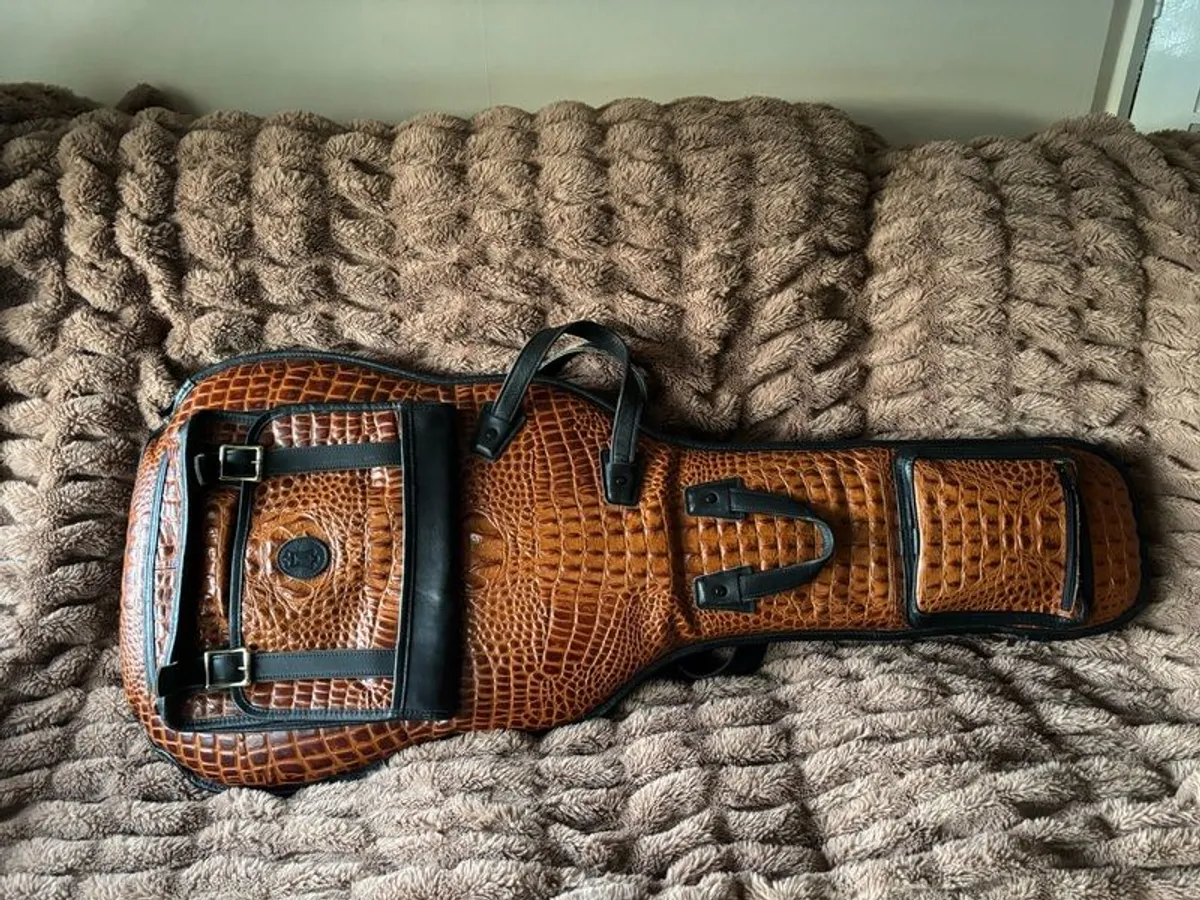 guitar bag - Image 1