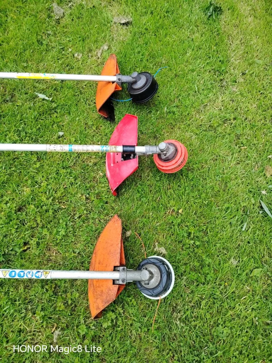 Strimmer - Image 3