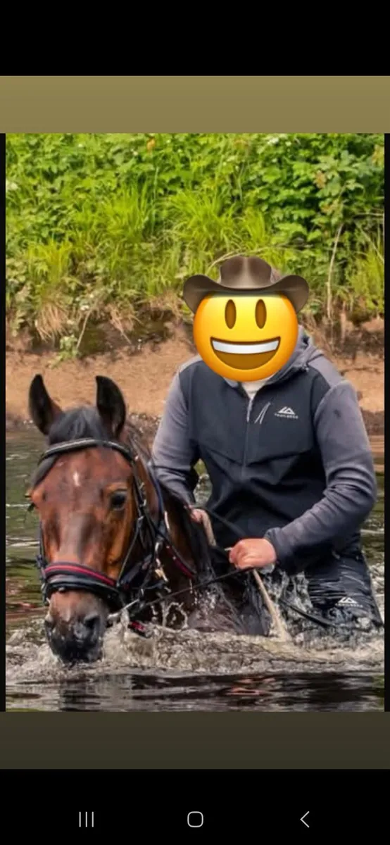 Horse - Image 4