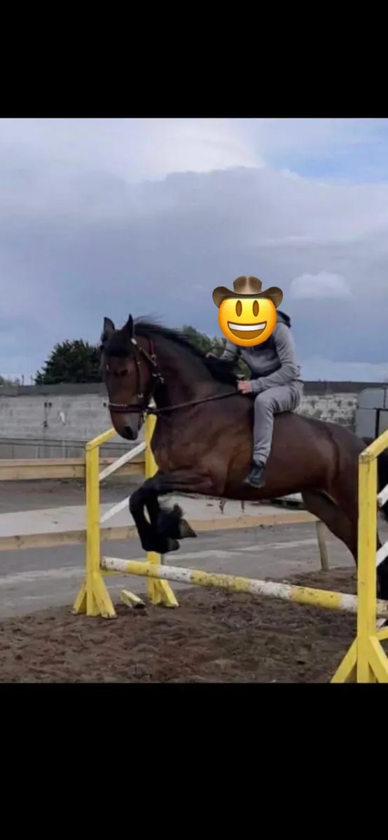 Horse - Image 2