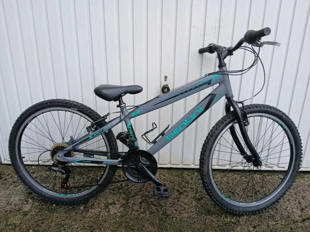All sizes and types of kids,teens and adults bikes - Image 4