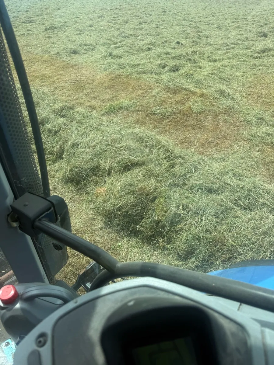 Haylage - Image 3