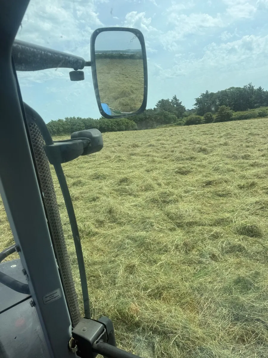 Haylage - Image 1
