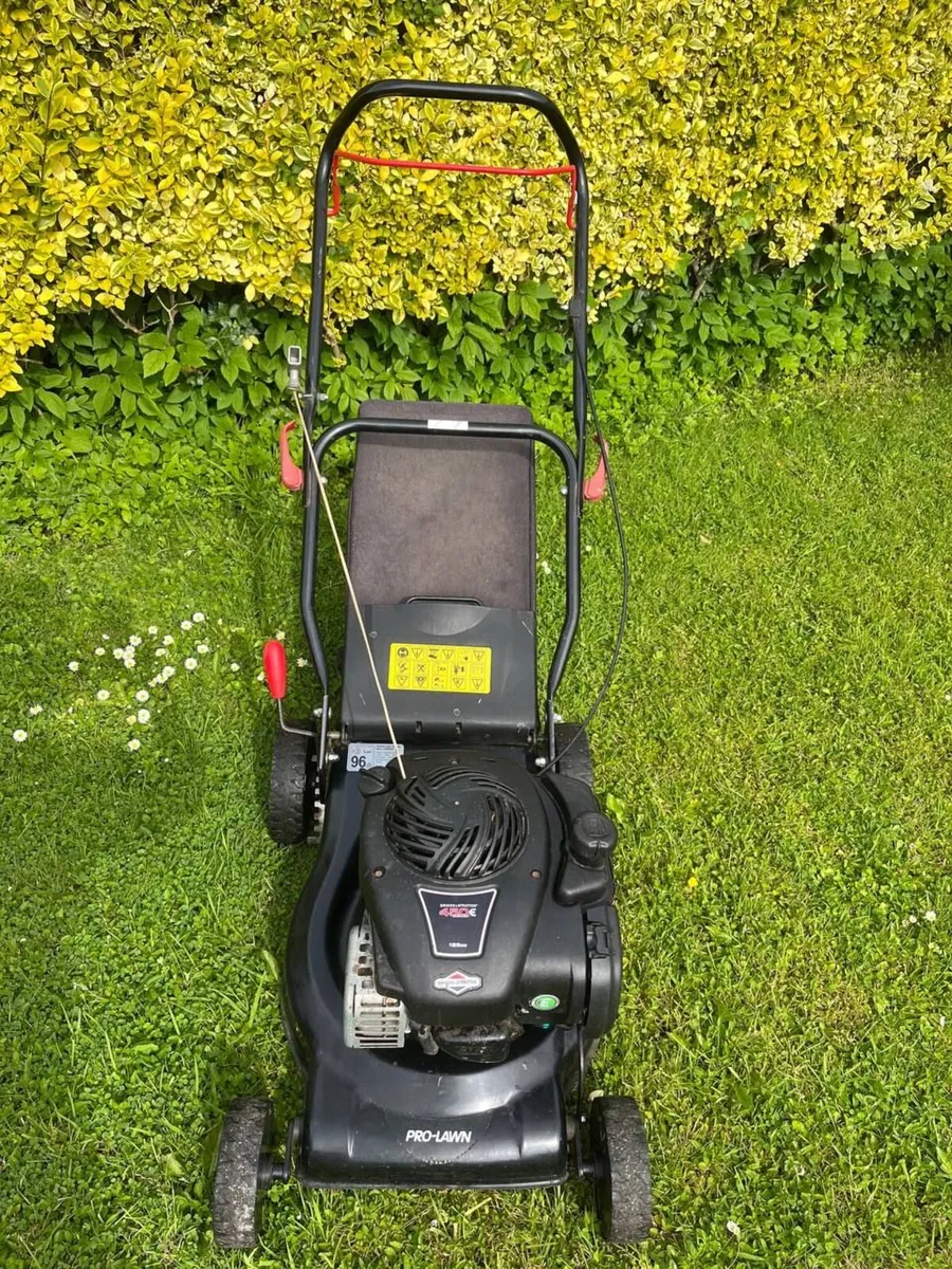 Lawnmower Briggs and Stratton - Image 2