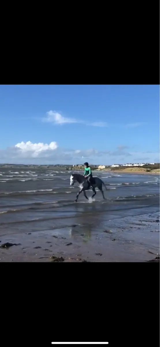 Salt water/ hydrotherapy livery - Image 2