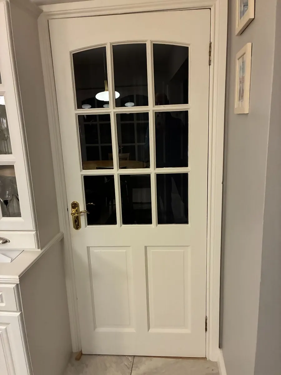 Kitchen living room doors