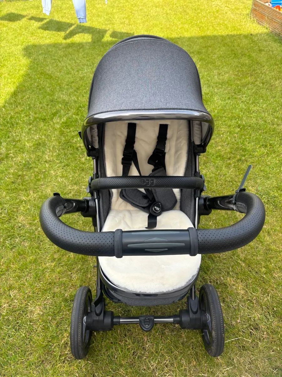Buggy - Image 2