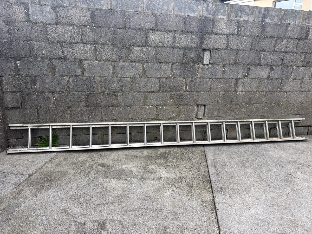 Ladder - Image 1