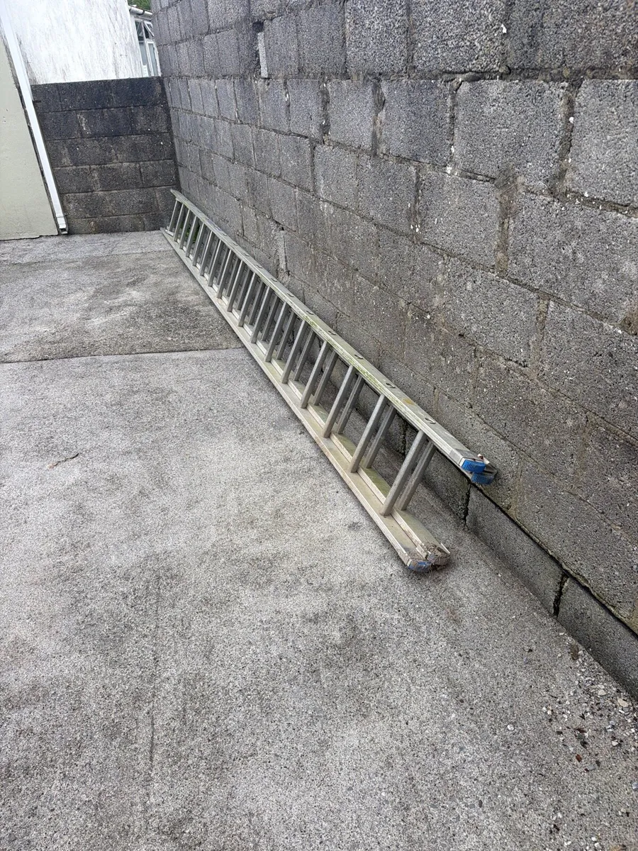 Ladder - Image 3
