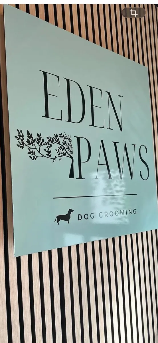 Dog grooming salon