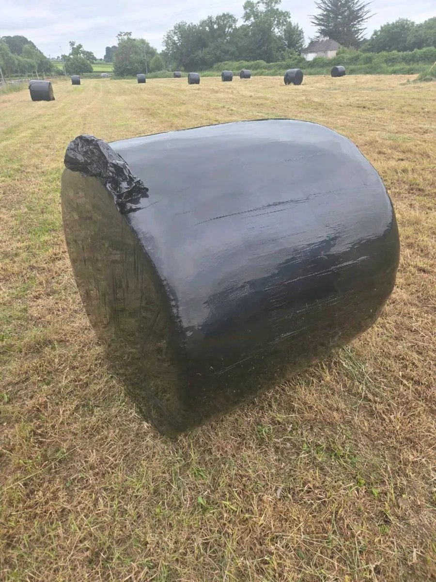 Haylage Bales - Image 1