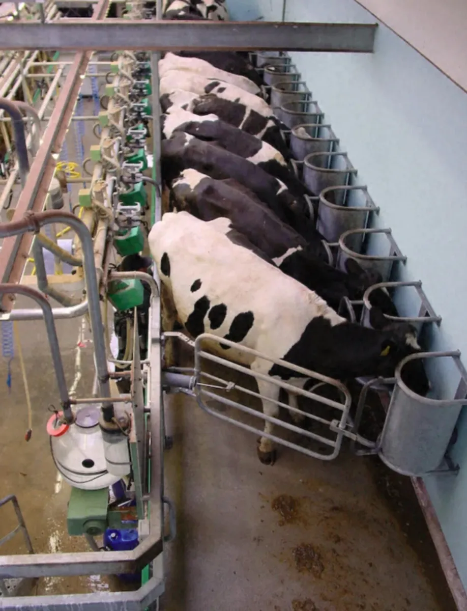 Relief Milking - Image 2