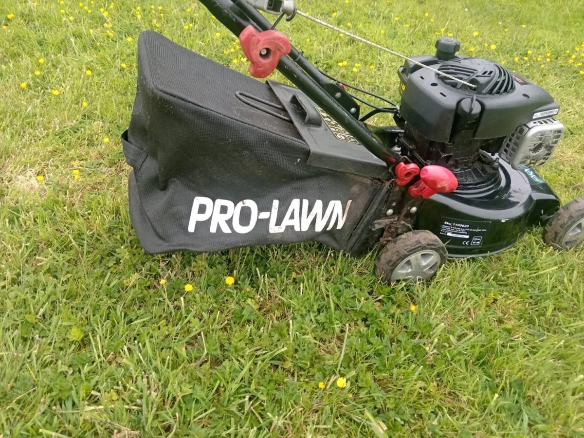 Lawnmowers - Image 4