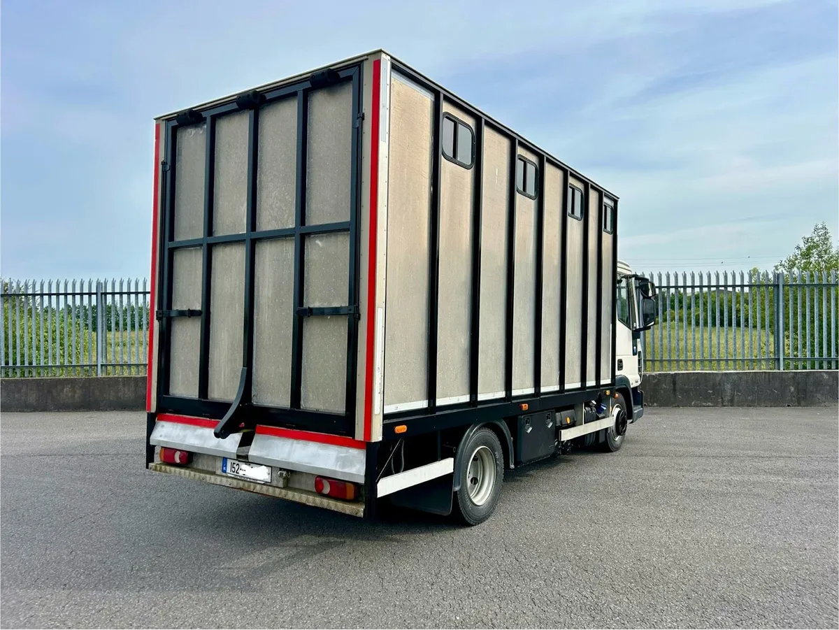 Iveco horsebox - Image 2