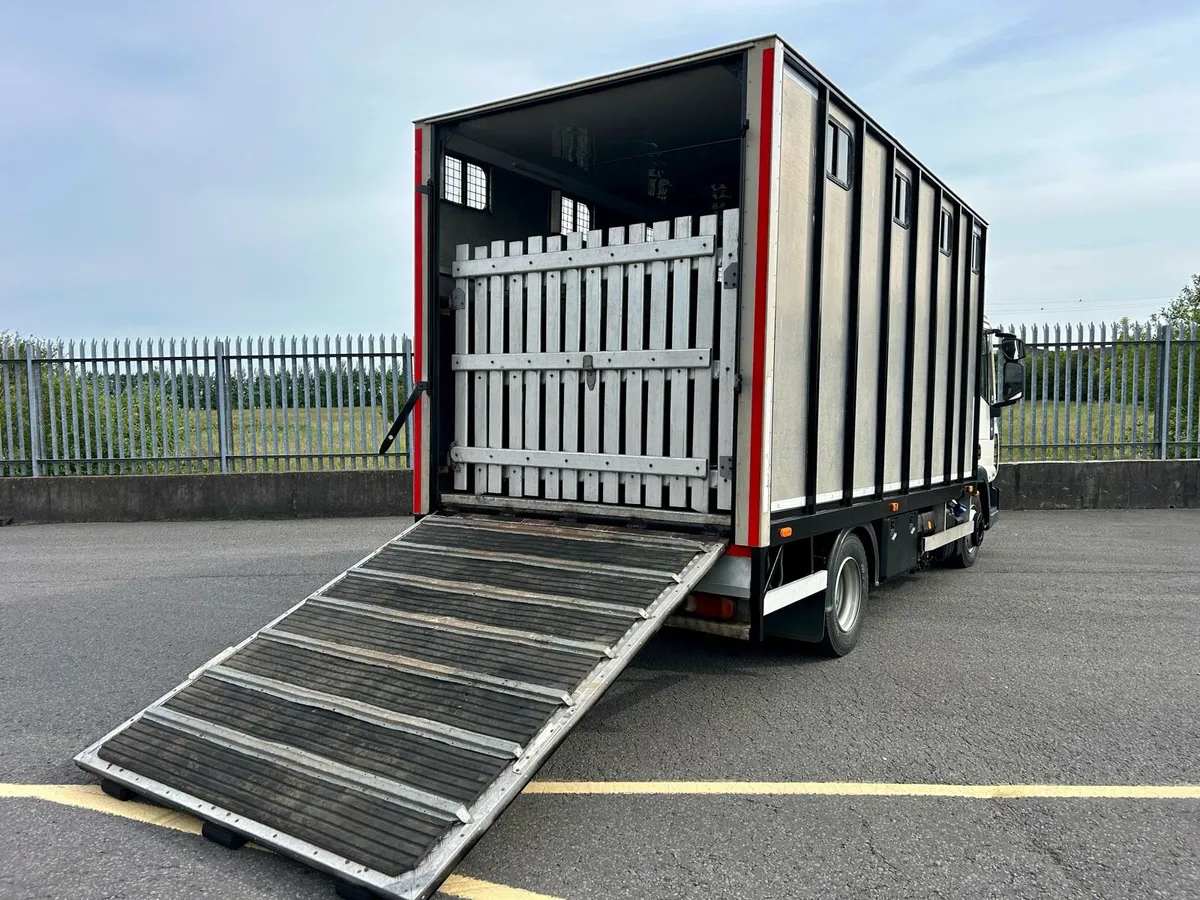 Iveco horsebox - Image 3