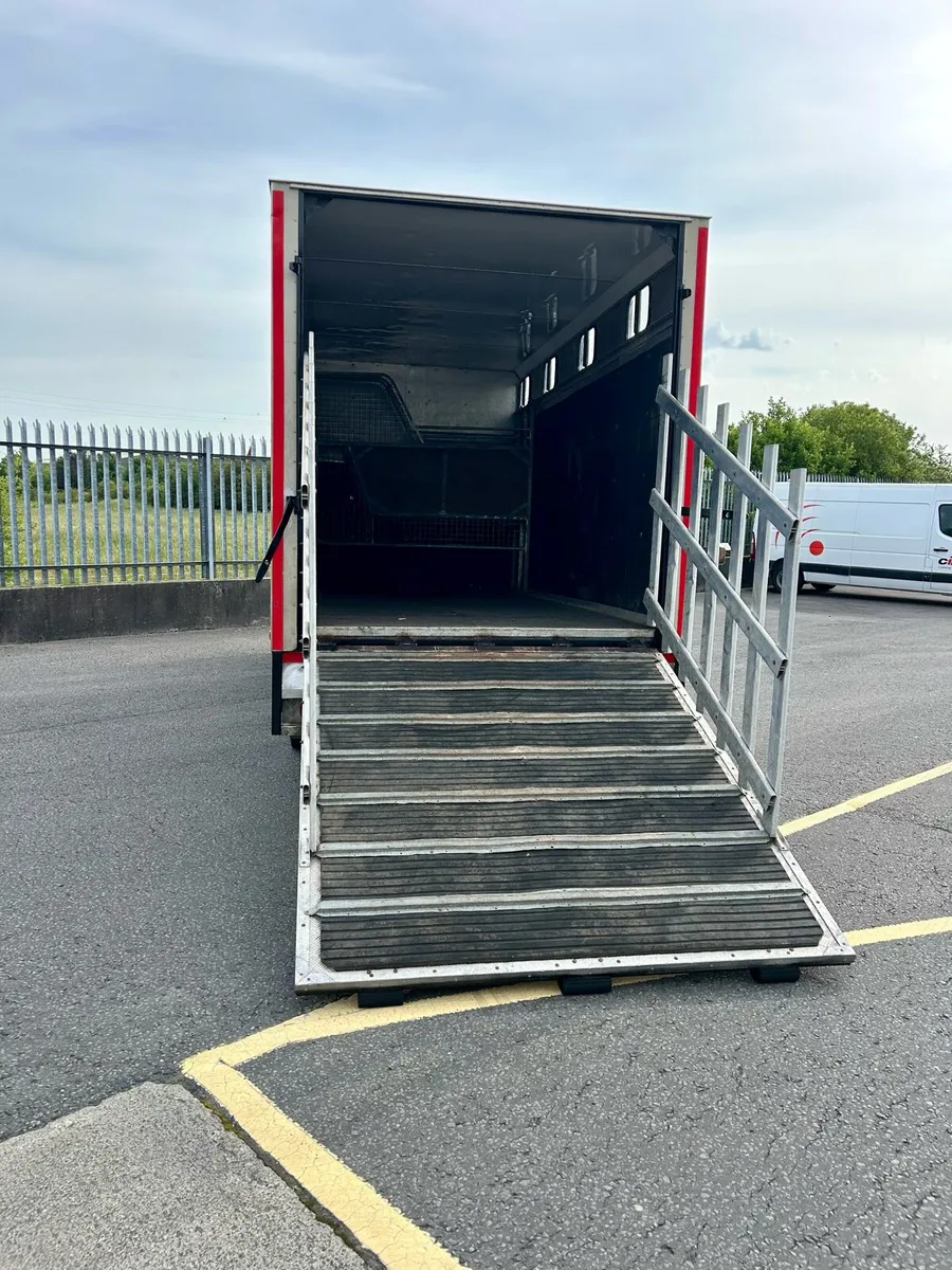 Iveco horsebox - Image 4
