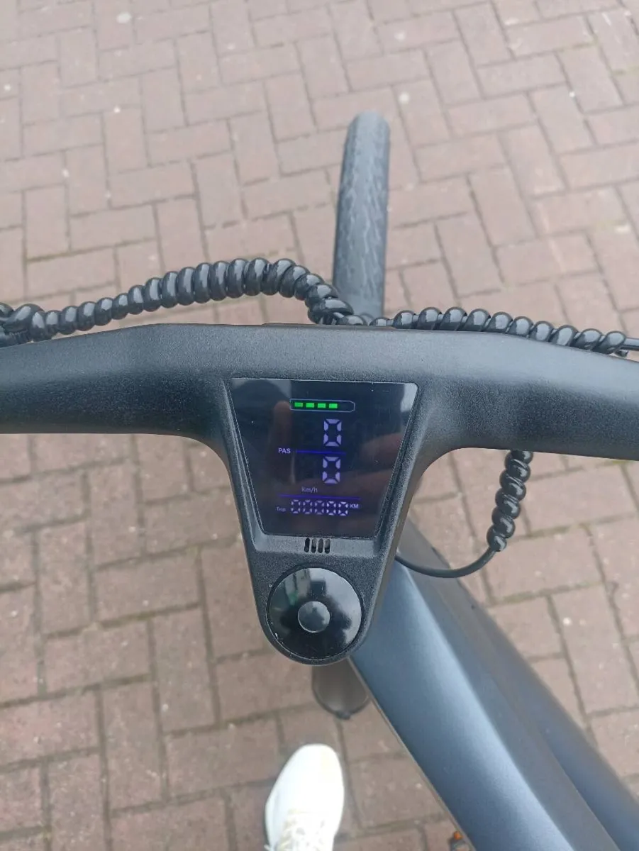 Ebike - Image 2