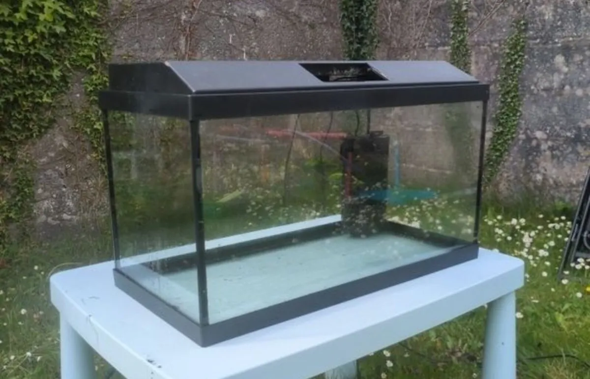 Aquarium - Image 1