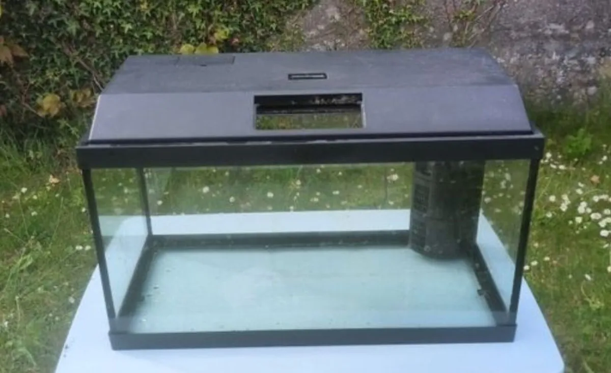 Aquarium - Image 2