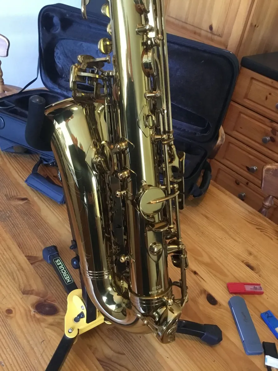 Alto Saxophone - Image 1