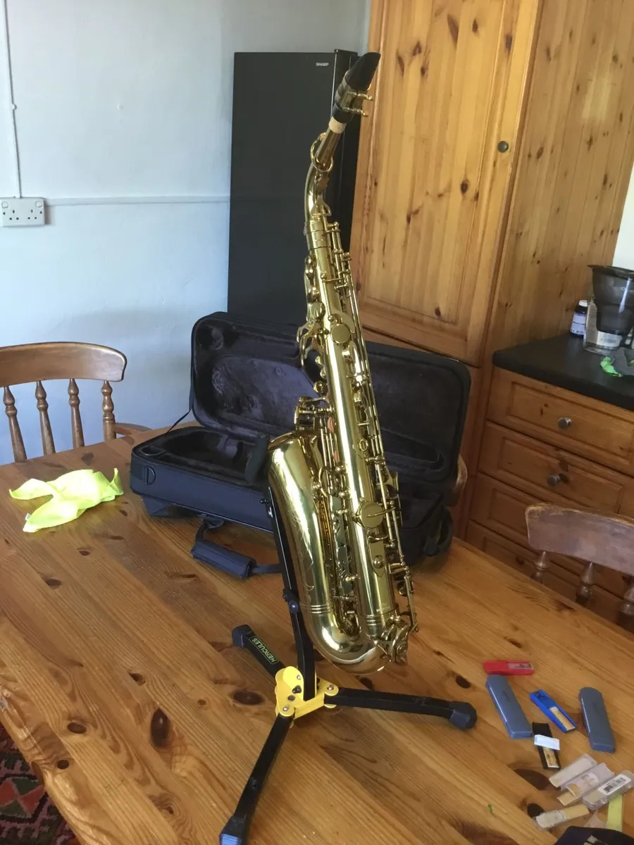 Alto Saxophone - Image 4