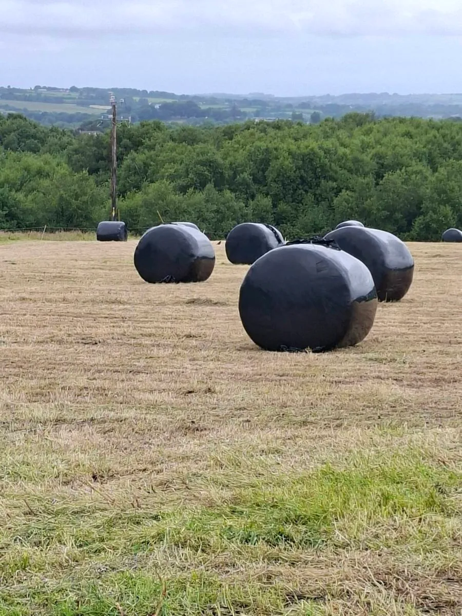 Silage bales