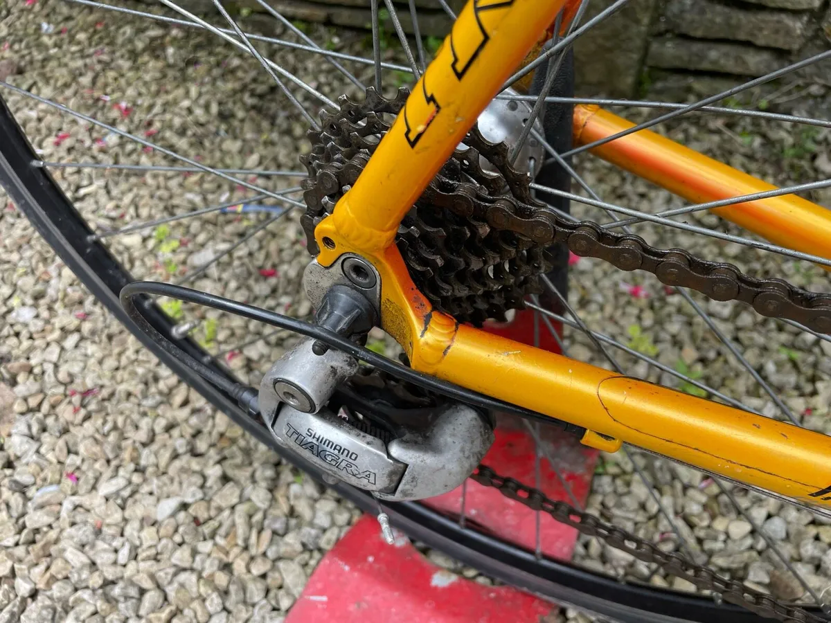 Trek 1000SL - Image 4