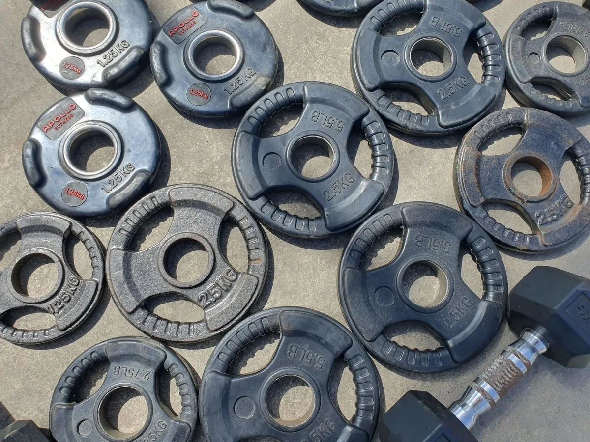 Online Unreserved Gym Equipment Auction - 4 - Image 1