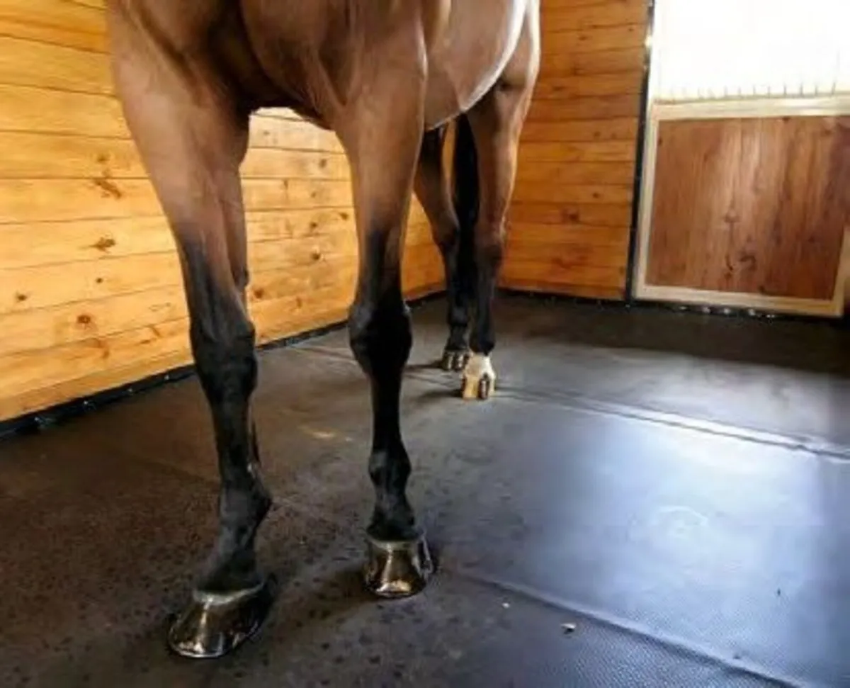 Stable Mats - Image 1