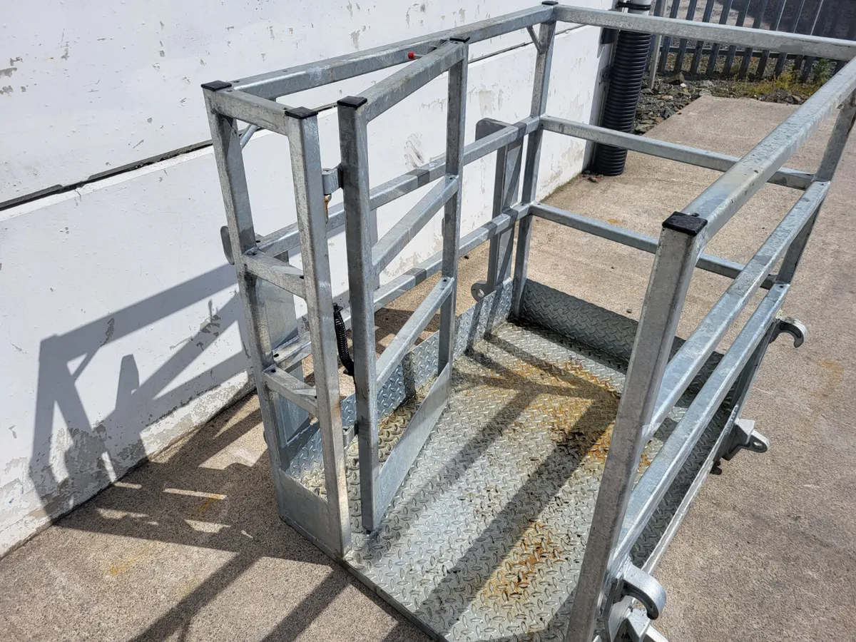 Safety Cage - Image 4