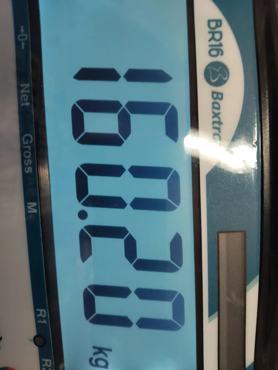 Weighing Scales sales -Service-Repairs - Image 3