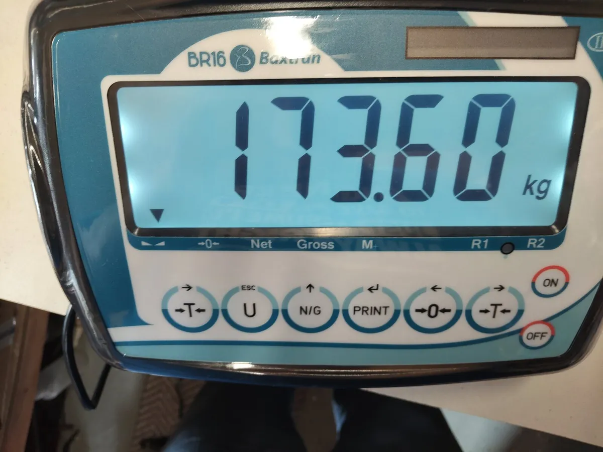 Weighing Scales sales -Service-Repairs - Image 4