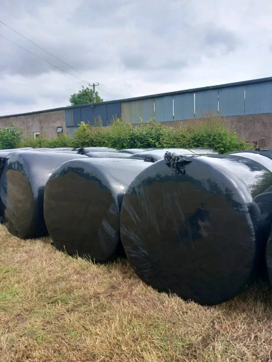 Round Bales - Image 1