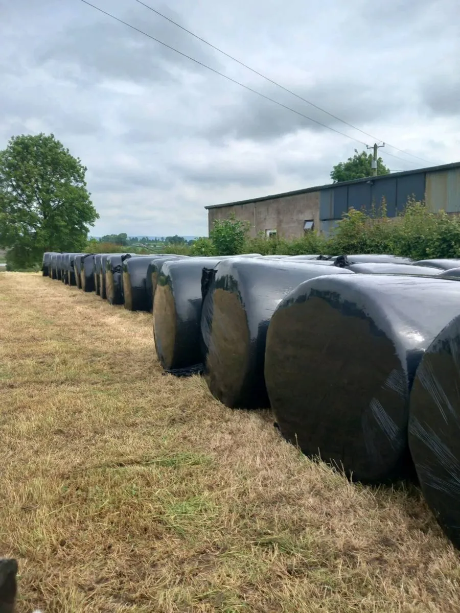 Round Bales - Image 2