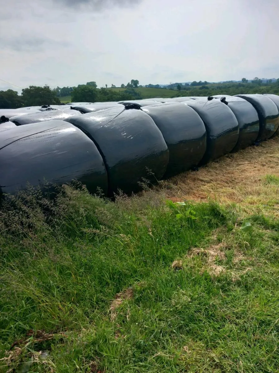 Round Bales - Image 3