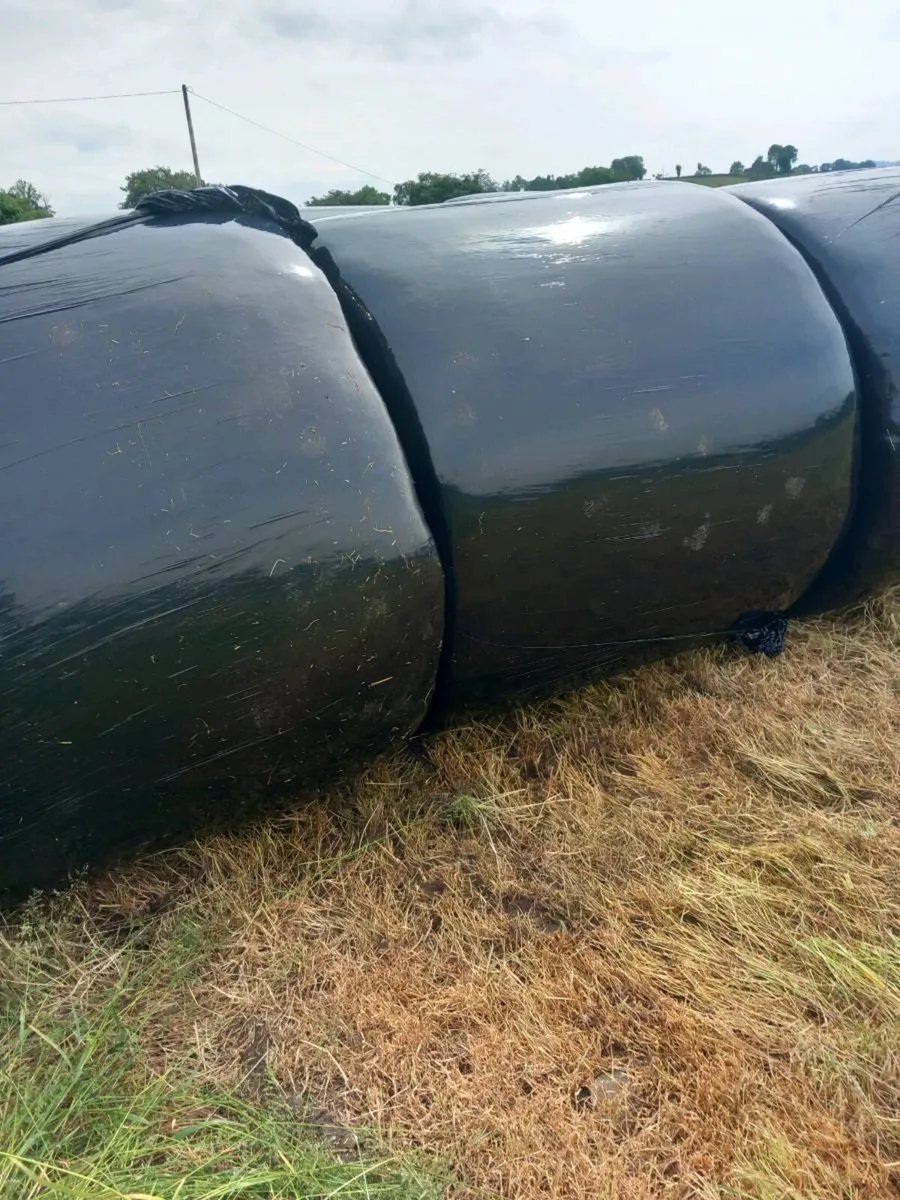 Round Bales - Image 4
