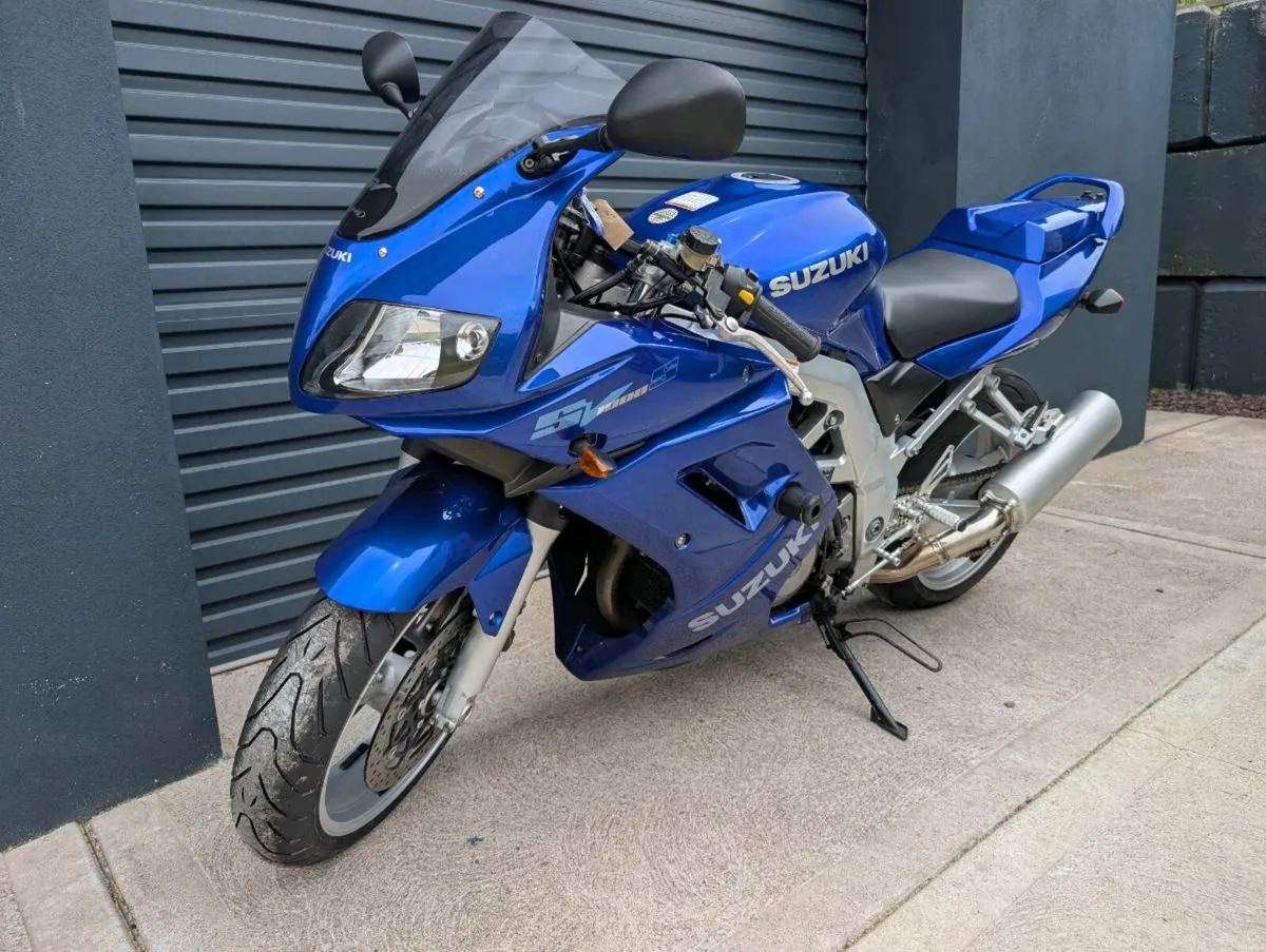 Suzuki SV1000s - Image 4