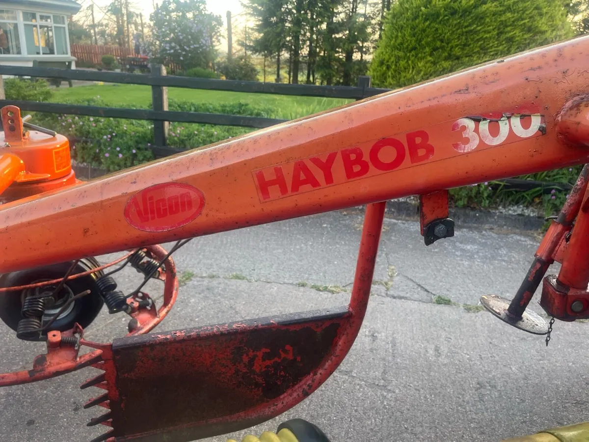 Kverneland/vicon 300 Haybob - Image 4