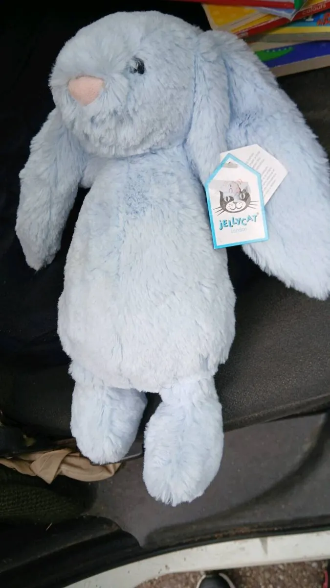 Jellycat Bunny - Image 1
