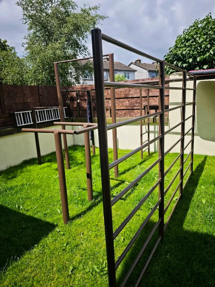 Heavy Duty Outdoor Calisthenics & Monkey Bar Frame - Image 1