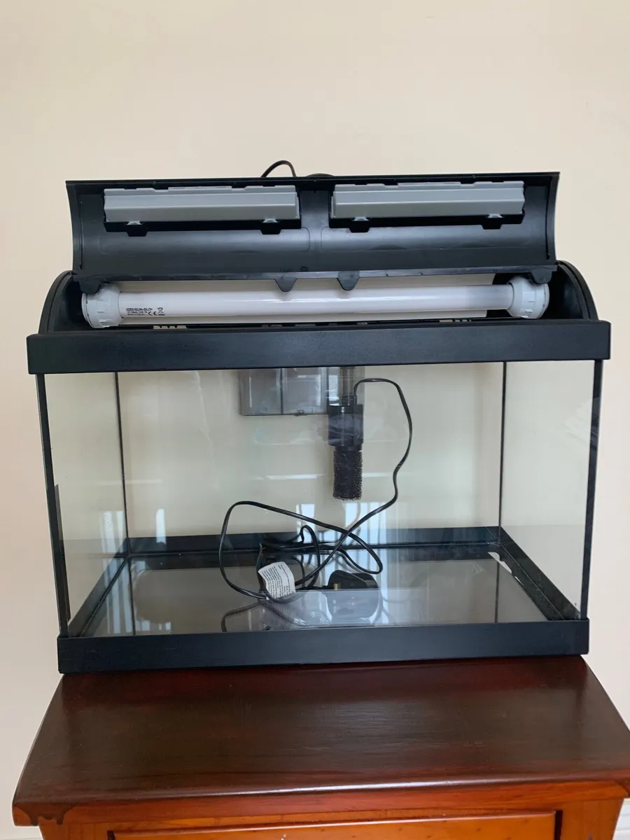 Aquarium/ Fish Tank