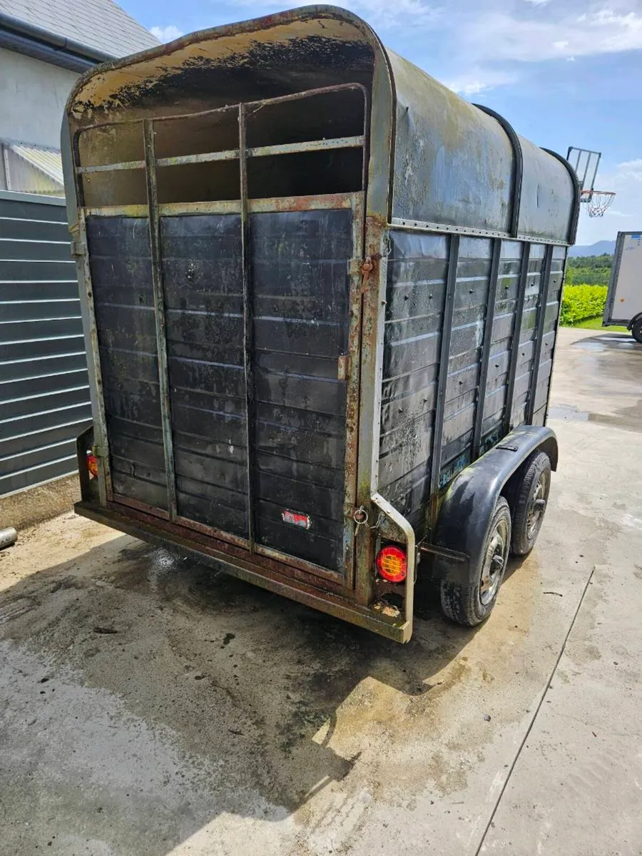 8x4 cowbox Trailer - Image 1
